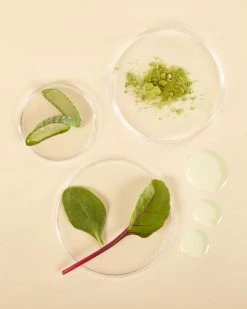 The Klog Plant-Rich Antioxidant Pore Cleansing Oil Double-Cleanse