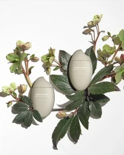 Haruharu Wonder Black Rice Hyaluronic Anti Wrinkle Serum Anti-Aging / Wrinkles