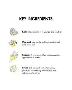 Good Days For All A New Leaf Cream Cleanser