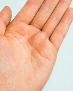 ROVECTIN Skin Essentials Barrier Repair Face Oil