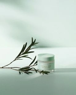 I'M FROM Vitamin Tree Water Gel Cream