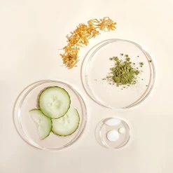 The Klog Daily Protectant Facial Mist